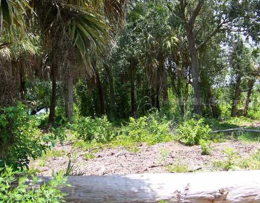 SW Albritton St & Koch Ave Rd., Arcadia, FL 34266