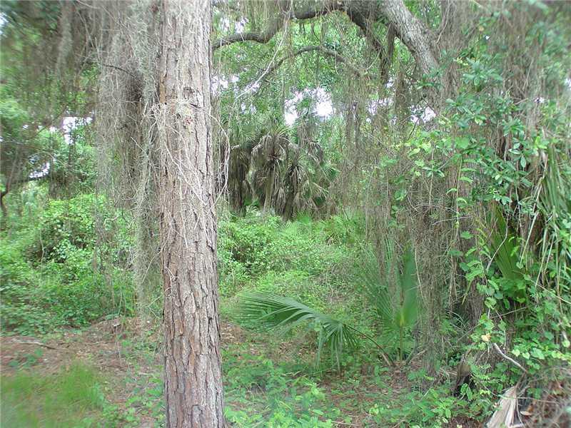 Lemon Ave., Englewood, FL 34223