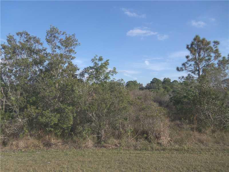 8282 Santa Cruz Dr., Port Charlotte, FL 33981