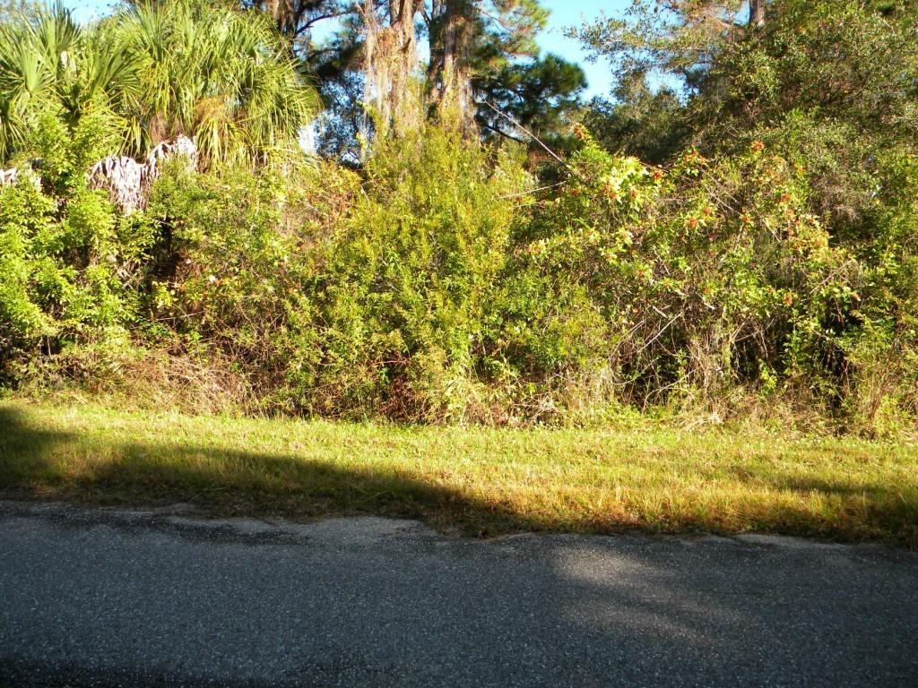 13435 Cain Av, Port Charlotte, FL 33953