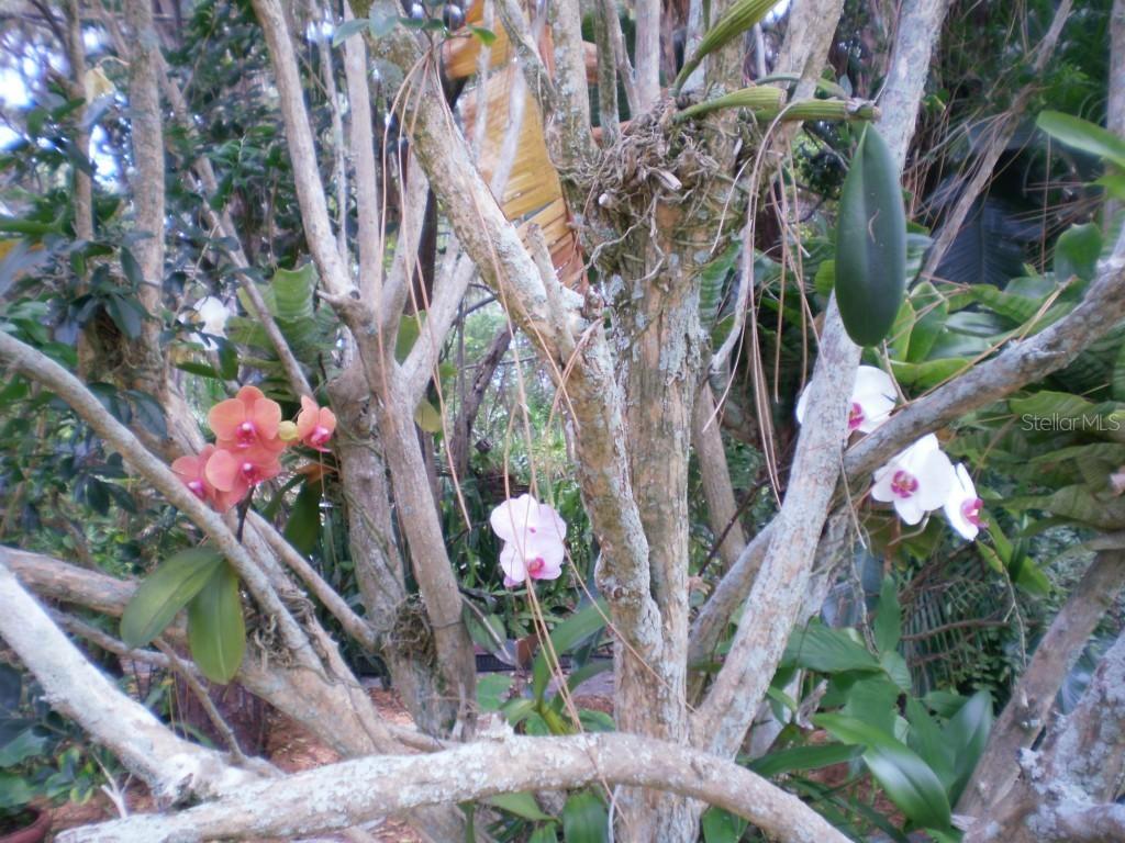 7072 Ticonderoga St., Englewood, FL 34224