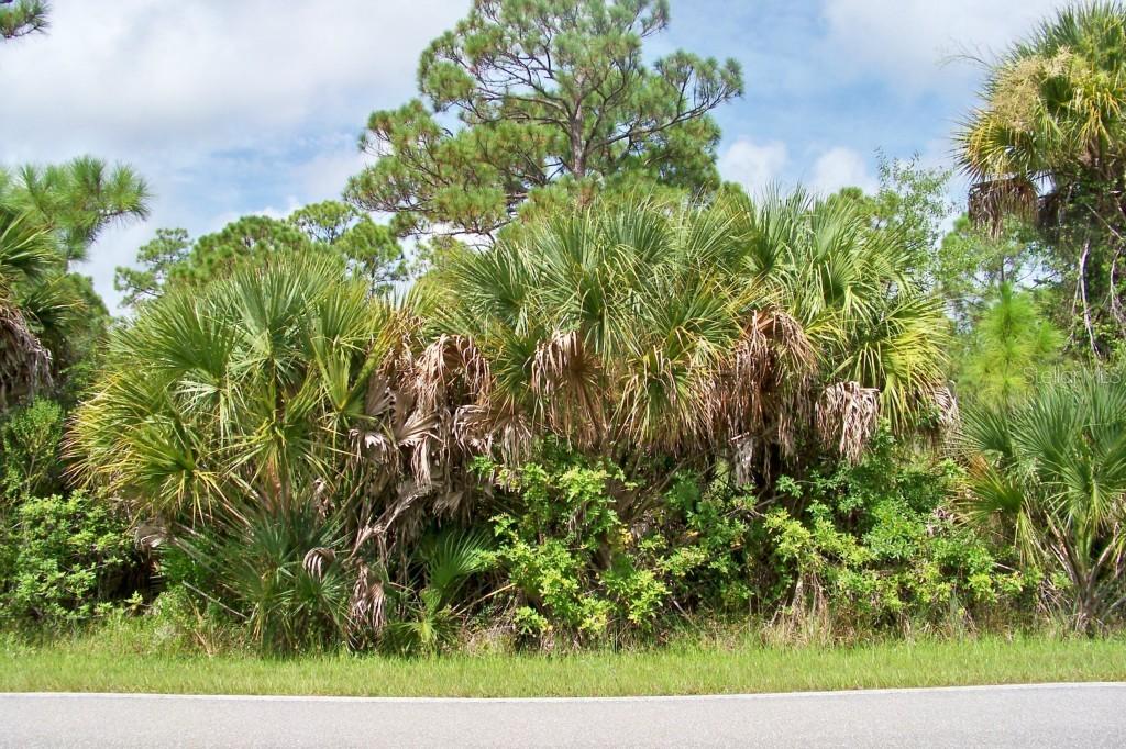 481 Campbell St, Port Charlotte, FL 33953