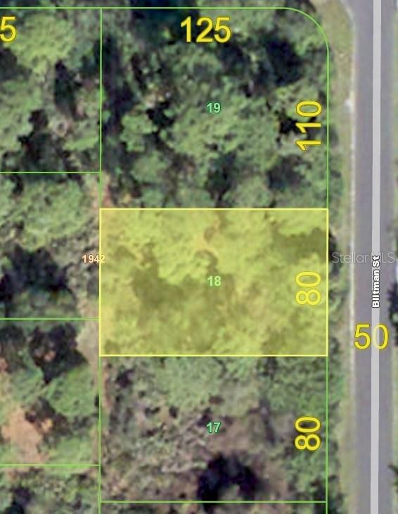 3589 Blitman St, Port Charlotte, FL 33981