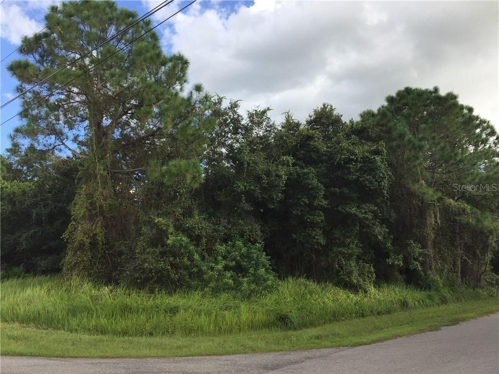 Malacara Ter., North Port, FL 34287