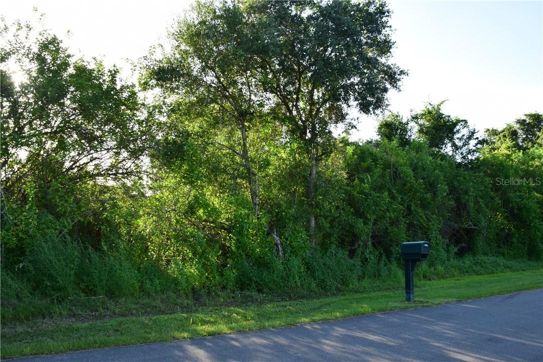 1203 Desmond St., Port Charlotte, FL 33952