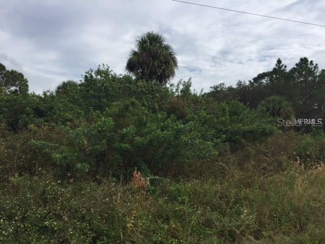 13276 Johannes Ave., Port Charlotte, FL 33953