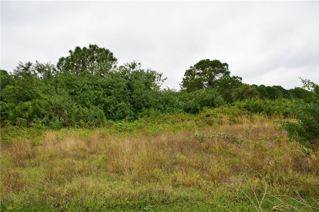 Delong Ave., North Port, FL 34291