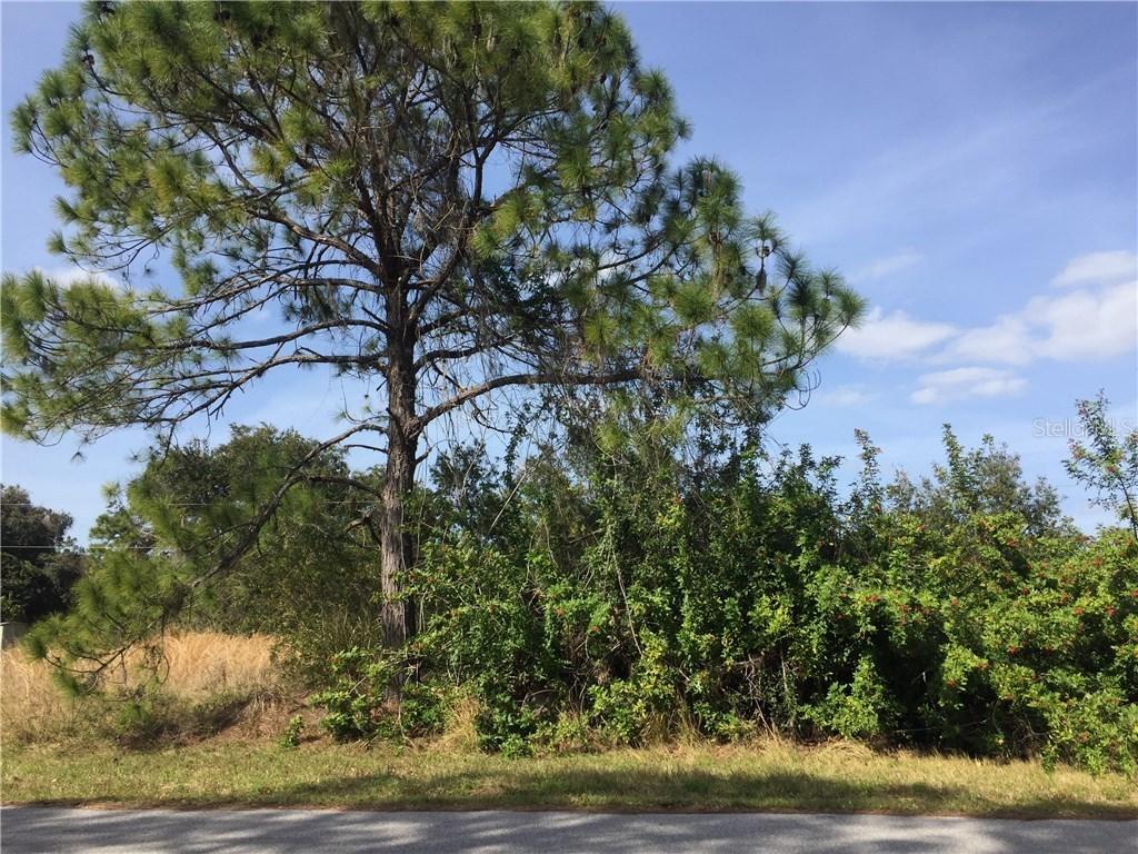 12454 Hathaway Ter., Port Charlotte, FL 33981