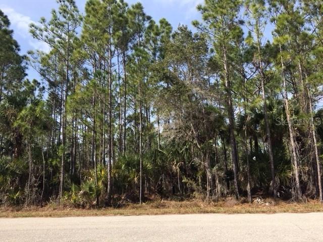 1343 Lace Ter., Port Charlotte, FL 33953