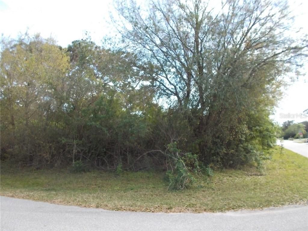 11311 Baggot Ave., Englewood, FL 34224