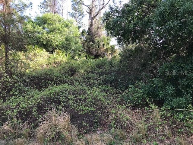 Bathfeld Rd., North Port, FL 34291
