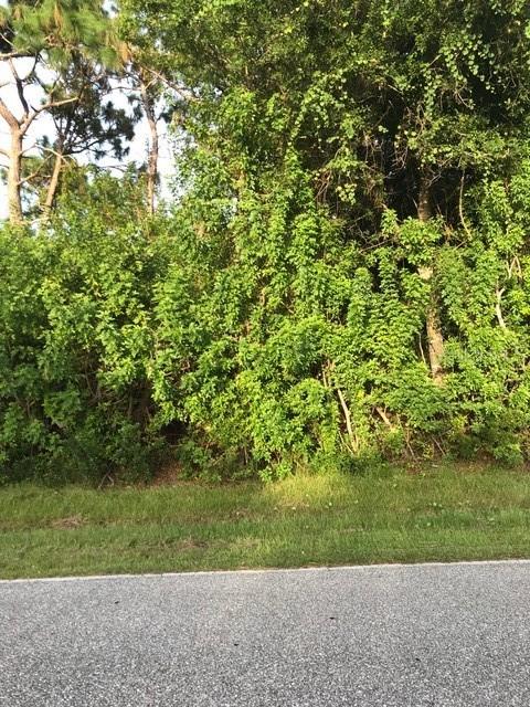 6952 Mamouth St., Englewood, FL 34224