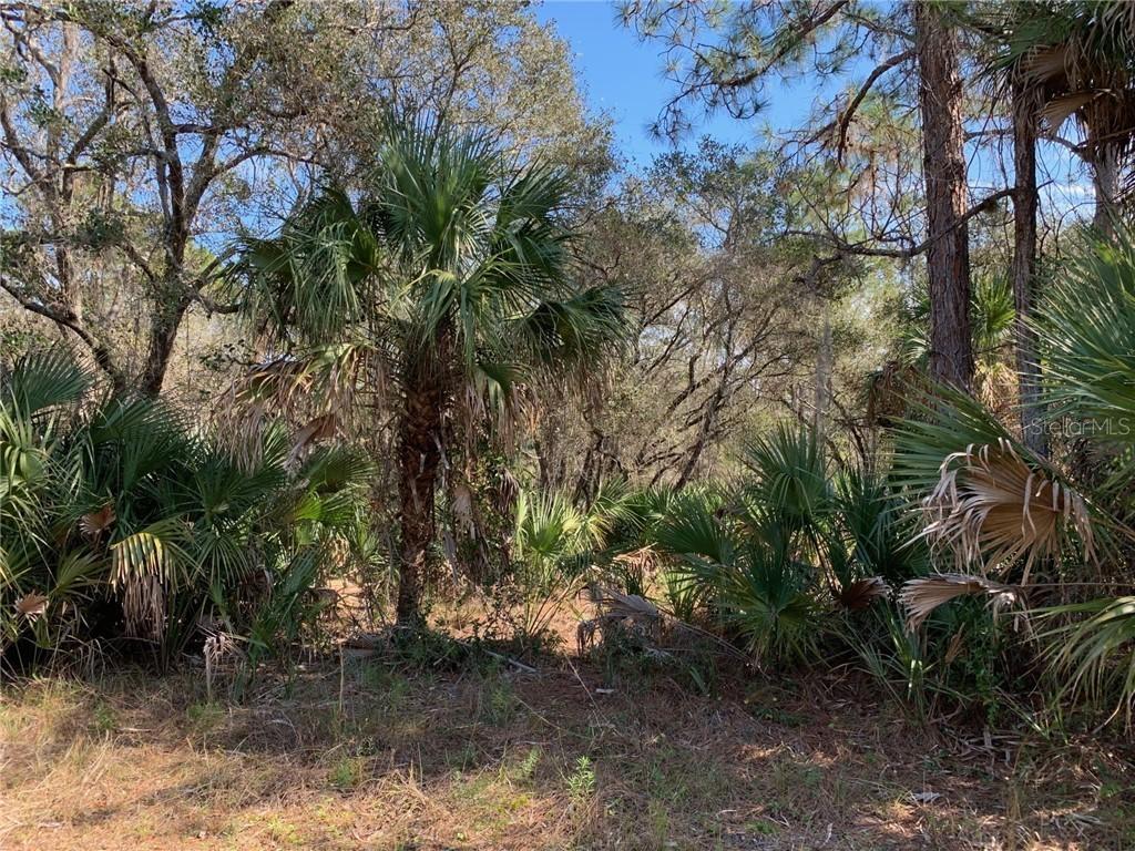 286 Munoz St., Port Charlotte, FL 33953