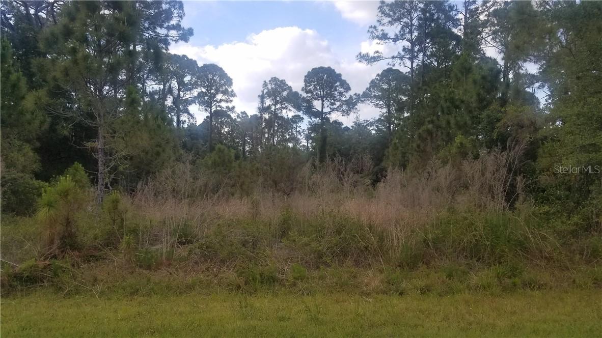 Fling Ave., North Port, FL 34291