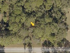lot 19 Hackley Rd., North Port, FL 34291