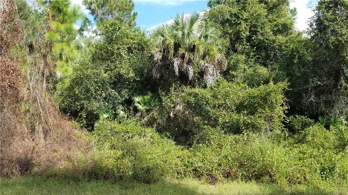 Waller Rd., North Port, FL 34288