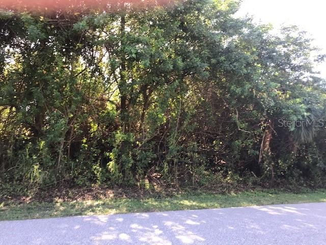 20121 Dante Ave., Port Charlotte, FL 33952