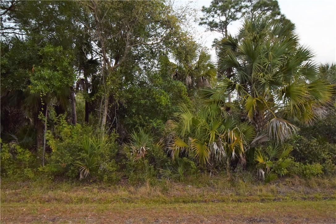 26242 Brooks Rd., Punta Gorda, FL 33955