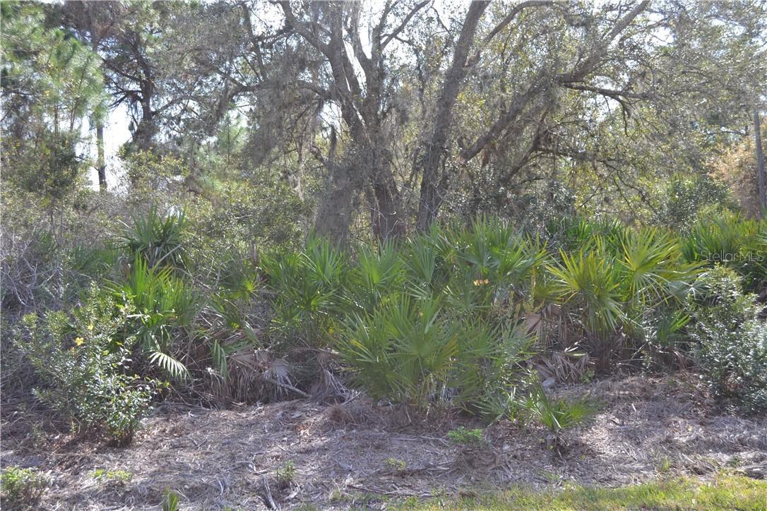 23447 Racine Ave., Port Charlotte, FL 33980