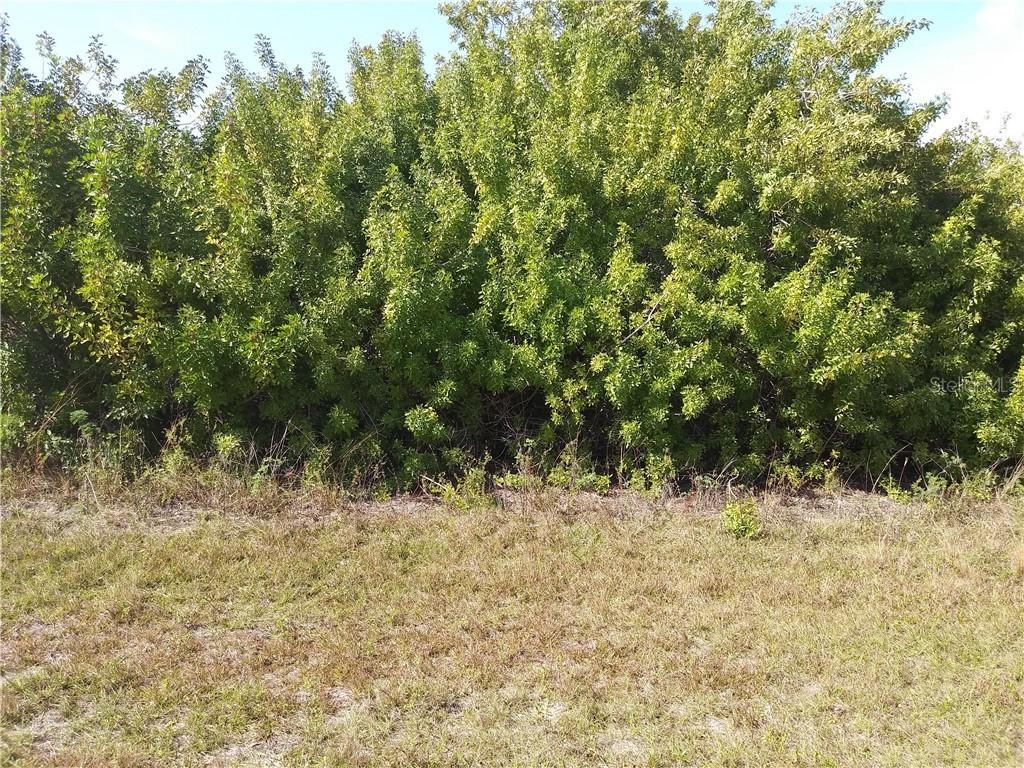 9324 Harvester St., Port Charlotte, FL 33981