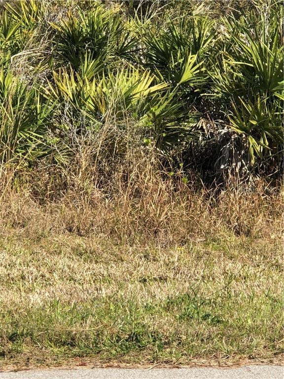 335 Spaulding St., Port Charlotte, FL 33953