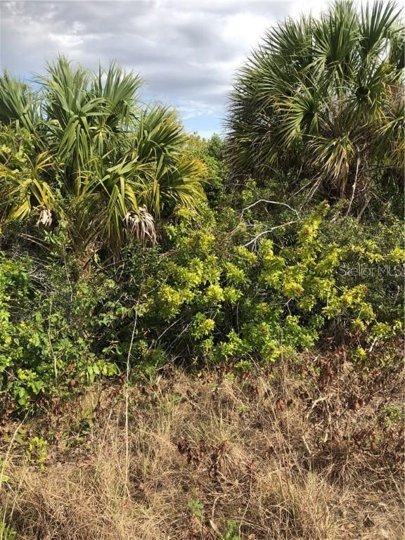 14175 Fillmore Ave Ave., Port Charlotte, FL 33981