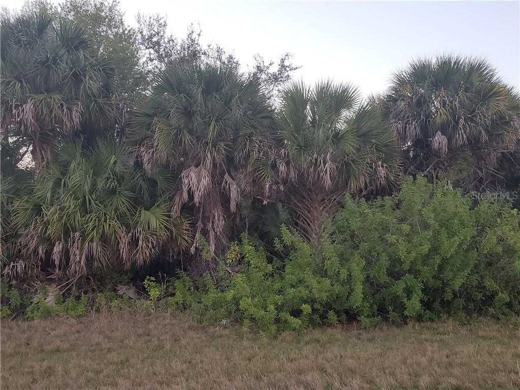 3471 Dwight St., Port Charlotte, FL 33981