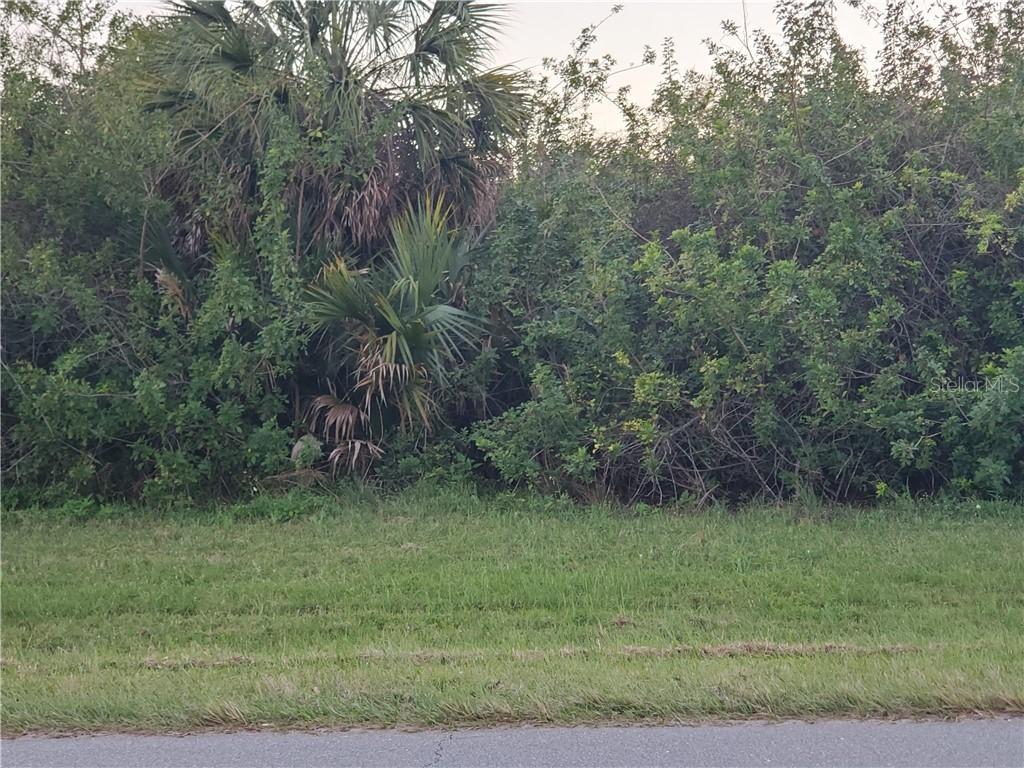 12338 Mayer Ter., Port Charlotte, FL 33981