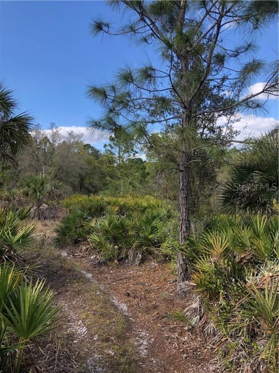 13156 Chiminiello Dr., Port Charlotte, FL 33953