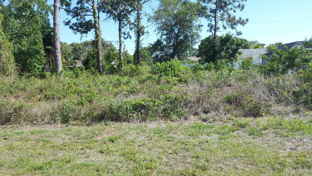 10167 Rafferty Ave., Englewood, FL 34224