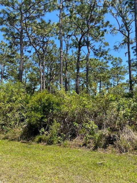 [Address Hidden by Seller], Port Charlotte, FL 33981