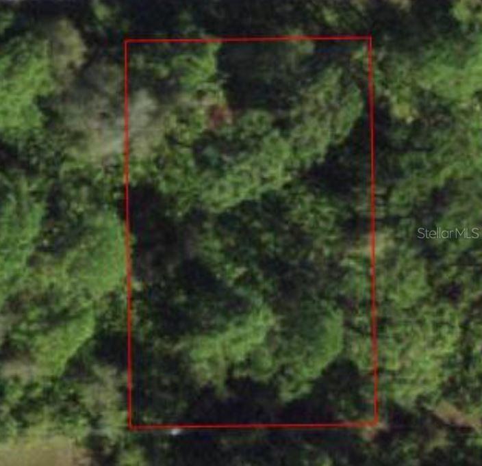 13033 Feldman Avenue, Port Charlotte, FL 33981