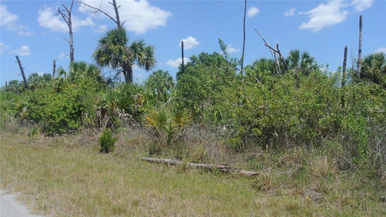 Crimsonglory Rd., North Port, FL 34288