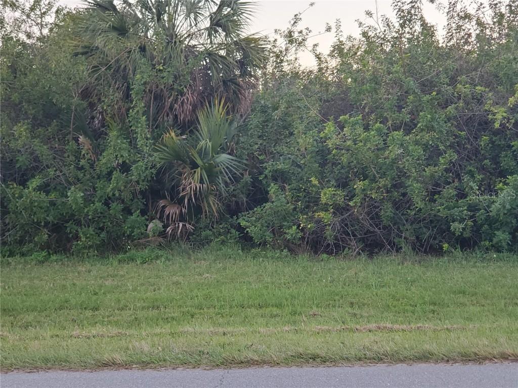 3118 Callisto St., Port Charlotte, FL 33981