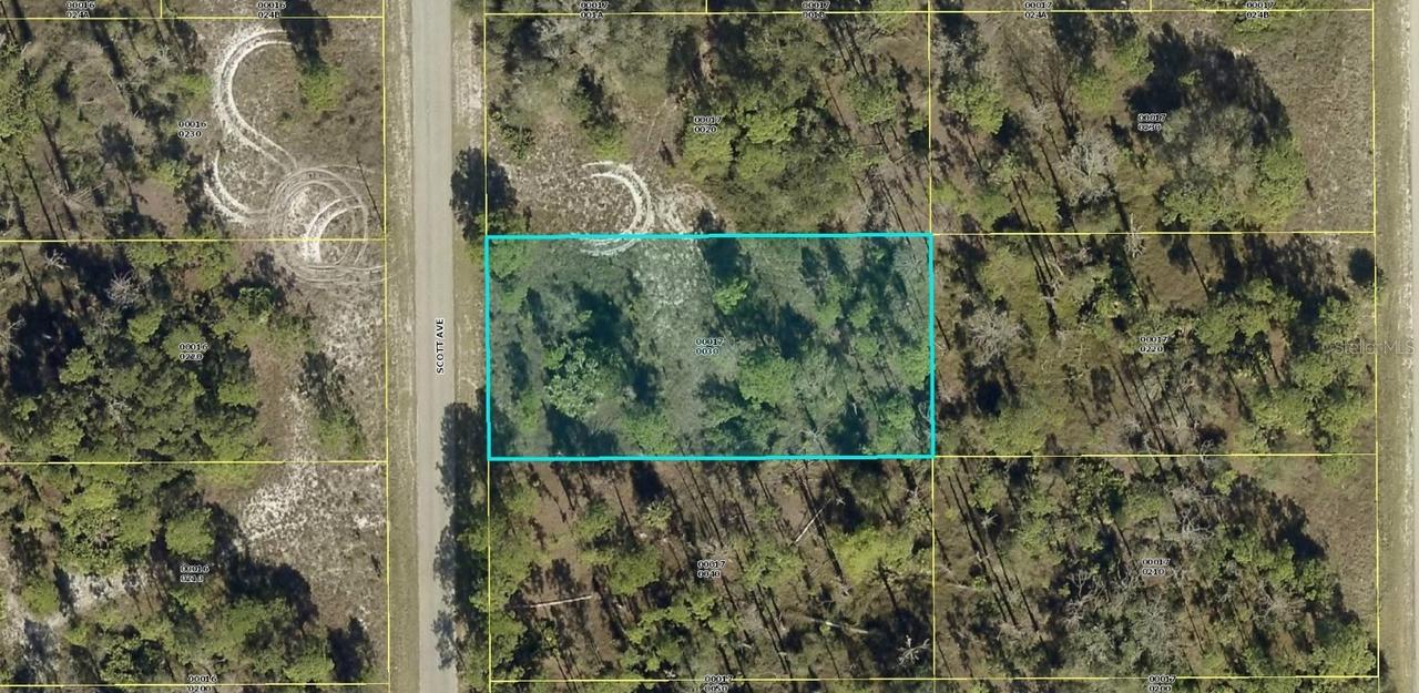 1318 Scott Ave., Lehigh Acres, FL 33972