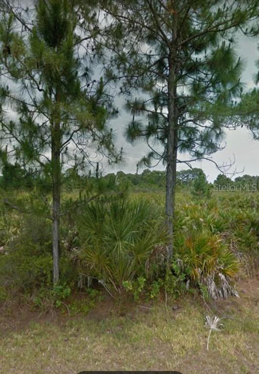 5496 Brussels Ter., Port Charlotte, FL 33981