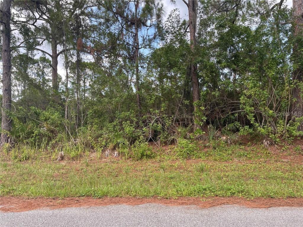 3142 Callisto St., Port Charlotte, FL 33981