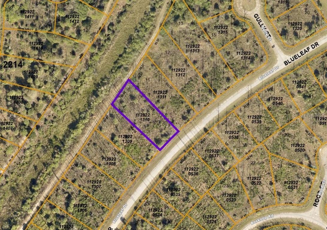 Blueleaf Dr., North Port, FL 34288