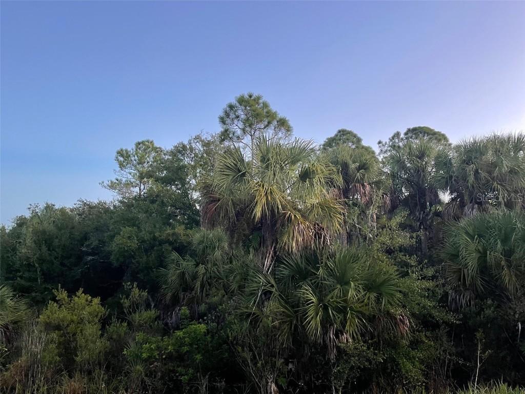 Exchange Ave., North Port, FL 34288