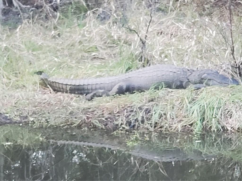 26075 Eaverson Rd., Punta Gorda, FL 33955