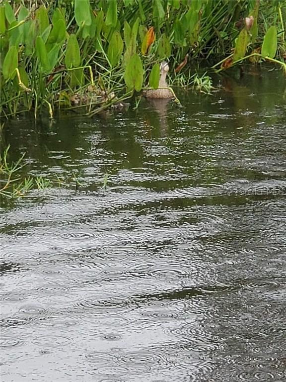 10171 Stonecrop Ave., Englewood, FL 34224