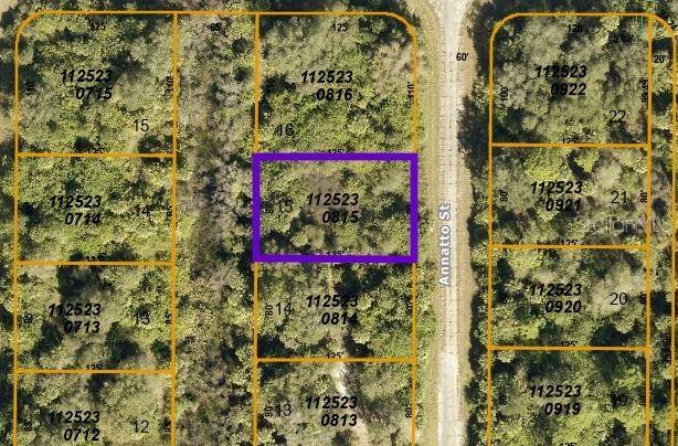 Annatto St., North Port, FL 34288
