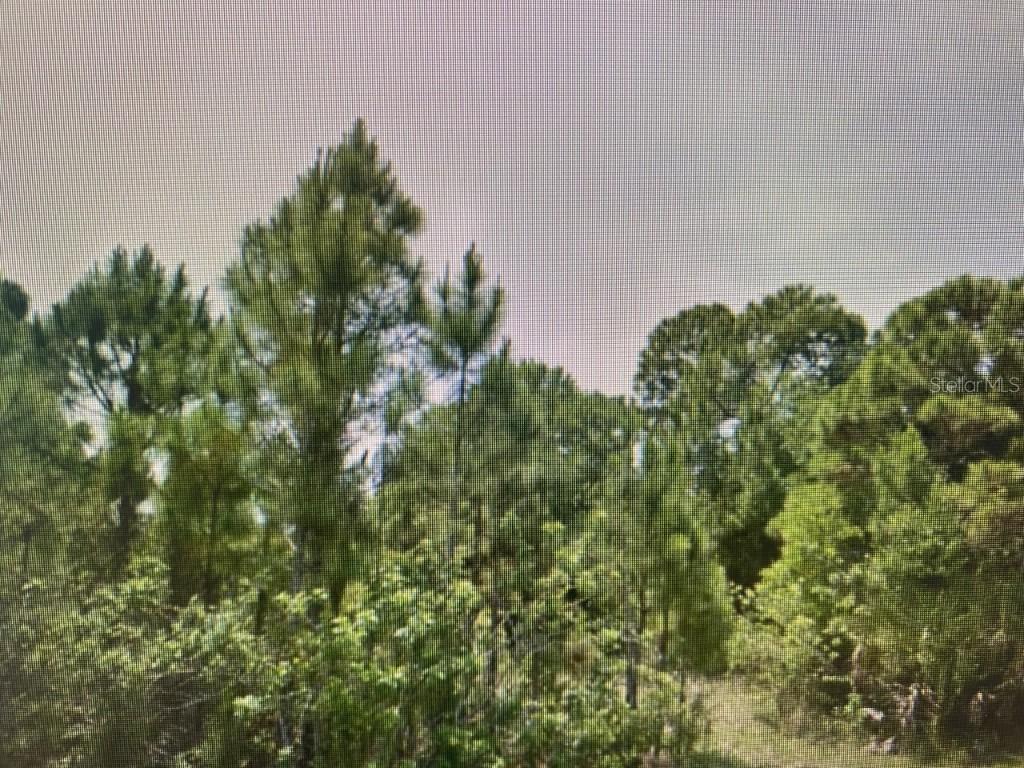 14055 Fillmore Ave., Port Charlotte, FL 33981