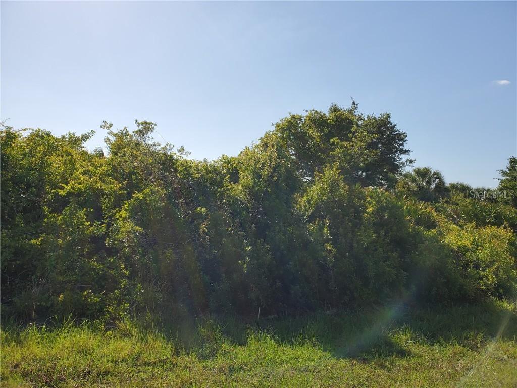 14088 Newson Ln., Port Charlotte, FL 33981