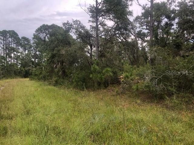 Lots 5 & 6 Tilhal Ter., North Port, FL 34291