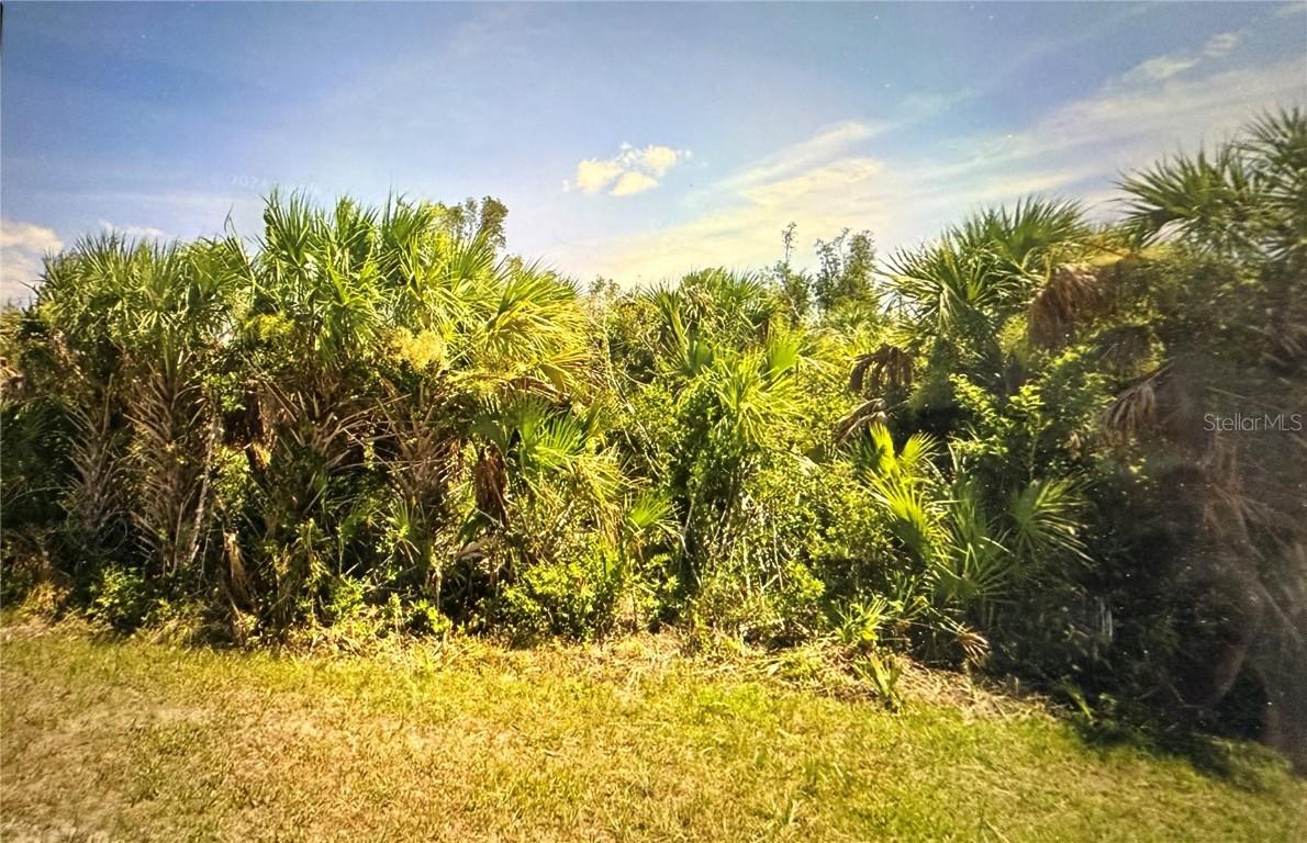 14425 Fort Myers Ave., Port Charlotte, FL 33981