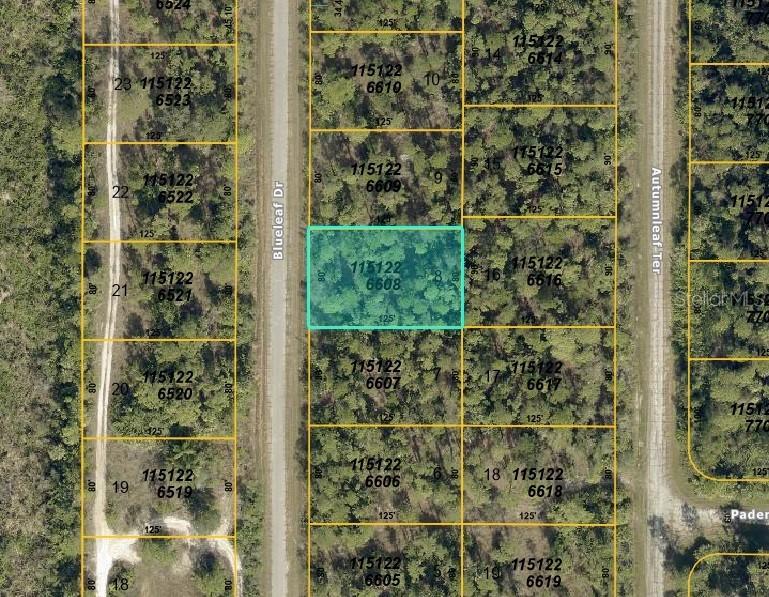 LOT 8 BLOCK 2266 Blueleaf Dr., North Port, FL 34288
