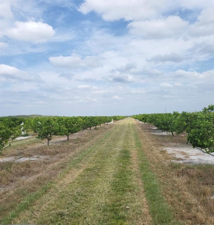 #40 SE Highway 31, Arcadia, FL 34266