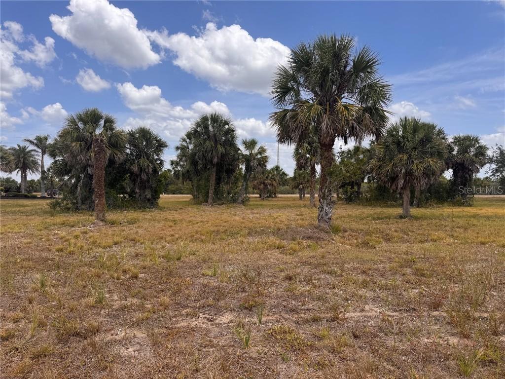 16 Redbud Ct., Placida, FL 33946