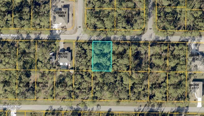 Neon Ave., North Port, FL 34291